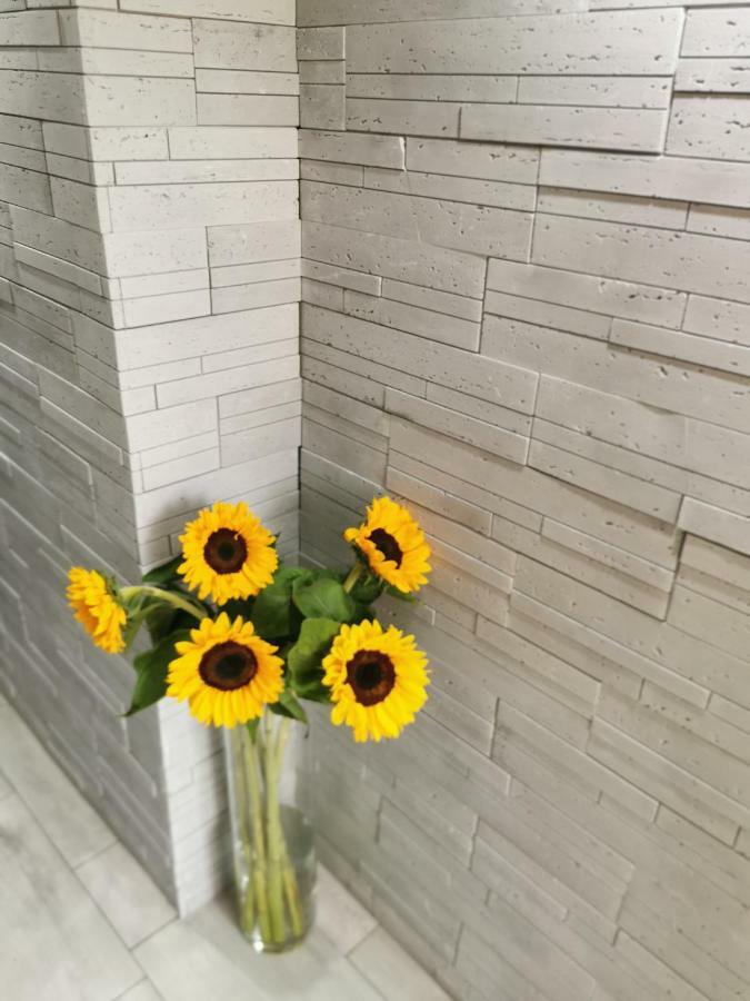 Gorski Apartament W Szczyrku 外观 照片